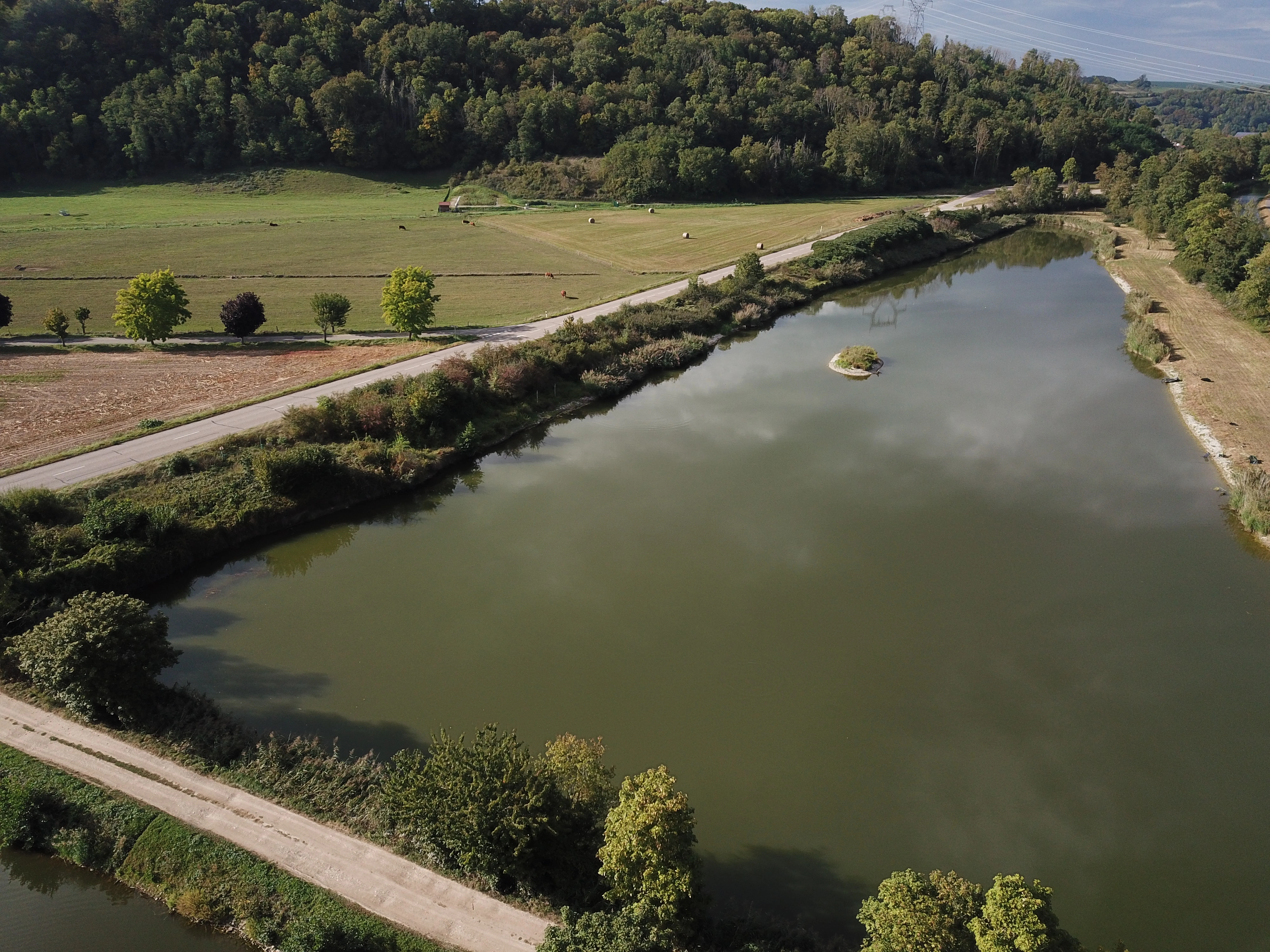 Plan d'eau Night Fishing